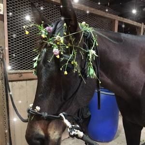 Meet your Posher, Ashlynn